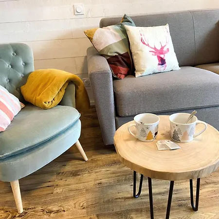 Rénové Aux Deux Alpes, Proche Des Pistes, Balcon Sud, Ascenseur, 4 Pers. - Fr-1-516-175