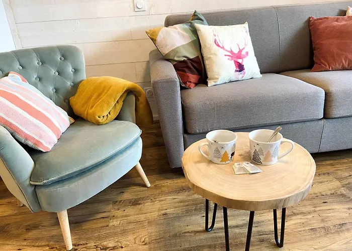 Renove Pres Des Pistes Avec Wifi Gratuit - Fr-1-516-175