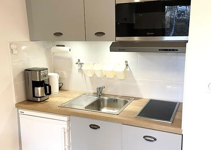 Renove Pres Des Pistes Avec Wifi Gratuit - Fr-1-516-175 Daire